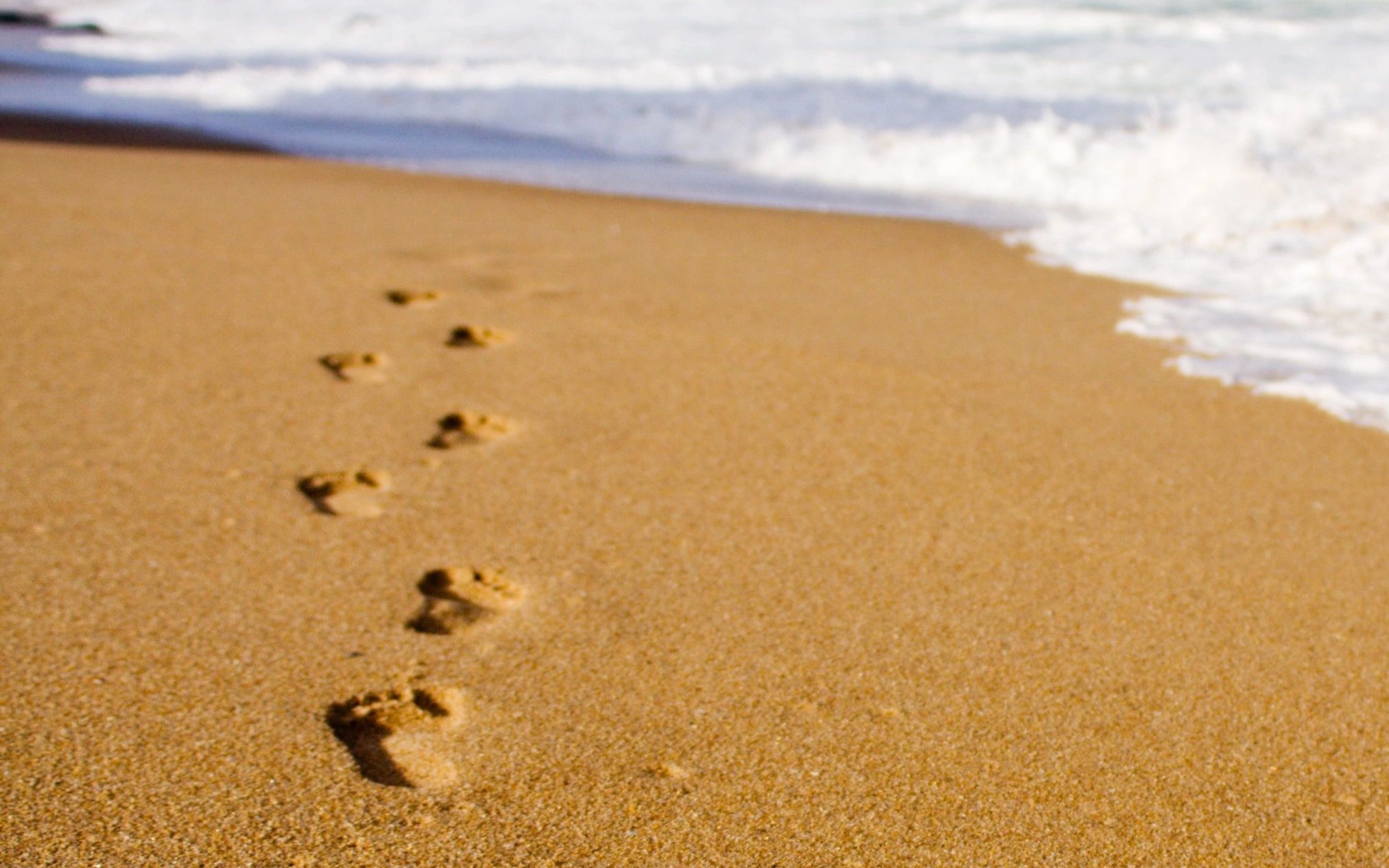 Pacific Foot & Ankle Care Podiatry, Podiatrist